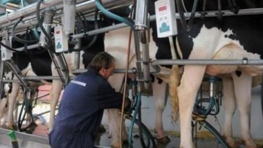 Piden echar atrás aumento del precio de la leche en tranquera