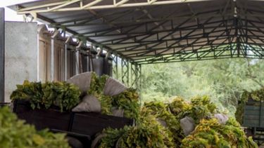 Agricultores alertan por los altos costos energéticos, logísticos y tributarios