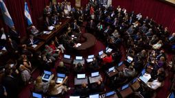El Senado aprobó la indemnización a Repsol
