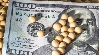 Cómo funciona el nuevo "dólar soja"