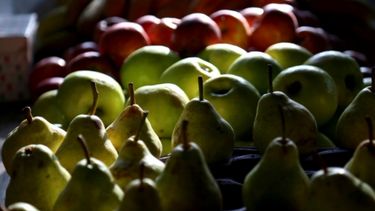 Destinan $70 millones a productores de peras y manzanas de Neuquén