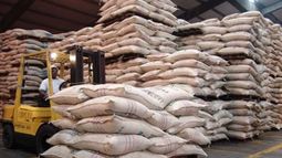 Exportaciones globales de café subieron mínimamente en febrero