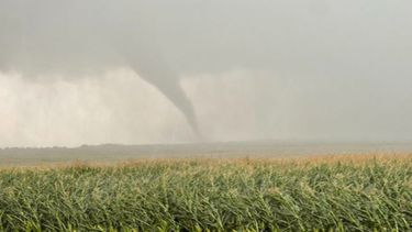 El huracán Ida y más lluvias en Estados Unidos causaron una nueva baja de los granos