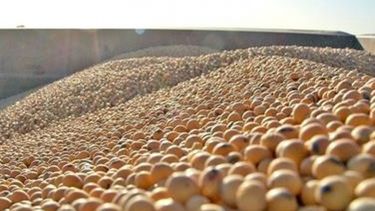 Brasil mantiene la estimación de cosecha de soja para la actual temporada