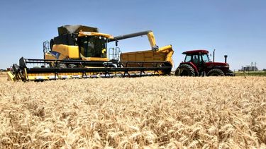 Rentabilidad para los productores.