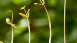 Sigue siendo una cuenta pendiente el financiamiento al sector agroindustrial