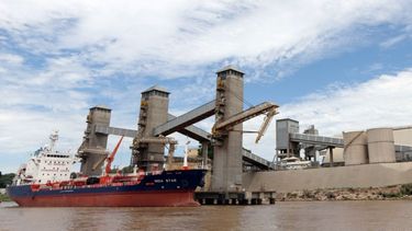 Los productos que Argentina le vende al mundo.