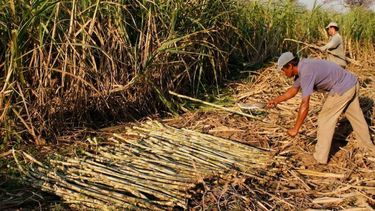 Asistencia financiera a productores de Misiones afectados por sequía e incendios