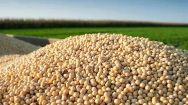Bajan a 29 millones de toneladas la estimación de la cosecha sojera
