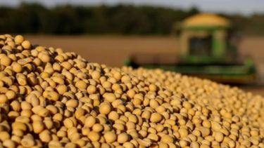 Semana negativa para la soja y el trigo en Chicago