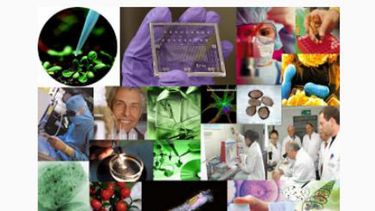 Industrias locales recibirán más información sobre microbiología