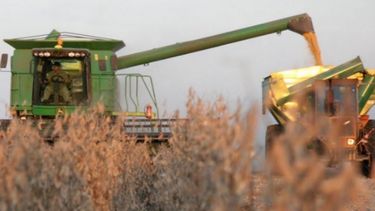 Sigue elevada la presión impositiva sobre el campo