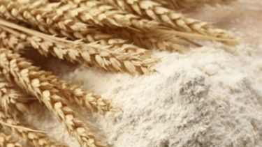 La producción de harina de trigo aumentó 10% en el primer trimestre