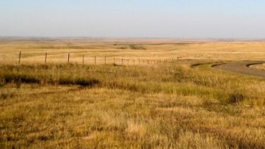 Monitorean seis millones de hectáreas de forrajes