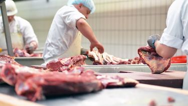 La producción de carne cayó un 2% intermensual en julio