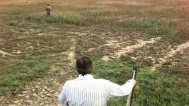 Declaran emergencia agropecuaria nacional en varias regiones del país