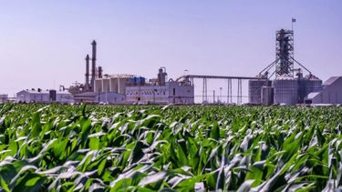 Inician programa de recomposición en los precios de biocombustibles