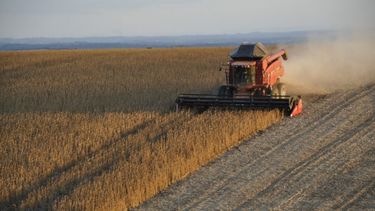 Entidades criticaron las nuevas medidas del BCRA para controlar el tipo de cambio