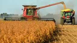 Las proyecciones sobre el complejo agroindustrial argentino.