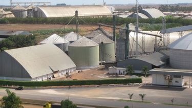 La producción agroindustrial retrocedió un 1% intermensual durante junio