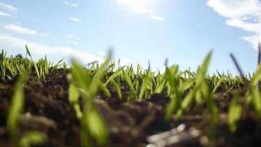 Bioeconomía: el que no la entienda, va a perder rentabilidad