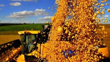 Suspendieron la matrícula de 159 exportadores de granos