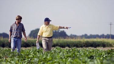 Aumentó un 30% la conectividad rural entre 2021 y 2022