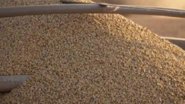 Productor sojero de Córdoba logró un récord de producción