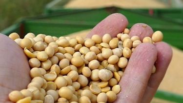 Aclaran dudas respecto a cambios en la liquidación de retenciones a la soja