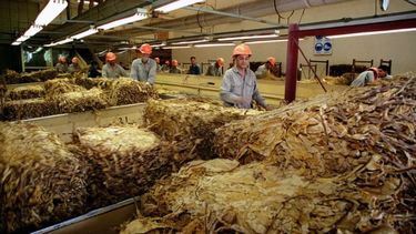 Los precios de la industria tabacalera.