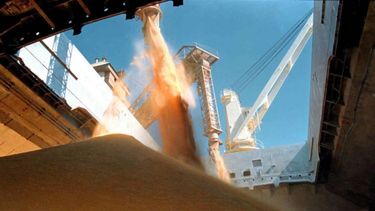 La molienda de cereales tuvo su mejor diciembre histórico