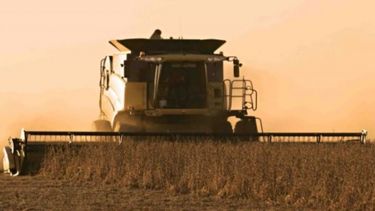 Confirmaron nueva importación de soja de Estados Unidos