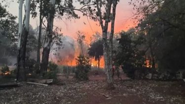 Las pérdidas por los incendios forestales equivalen a 3,850 billones de pesos