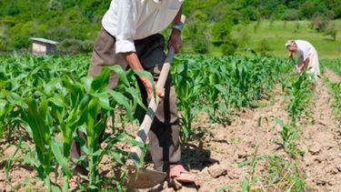 Peones rurales tendrán un aumento salarial del 22 por ciento