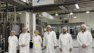 Danone utiliza frutillas de pequeños productores de Chaco