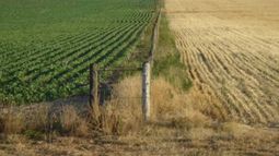 Costos del campo aumentaron más de 3.000 millones de pesos