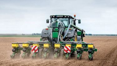 La siembra de maíz finalizó con un avance de 3% en áreas de la bolsa bahiense