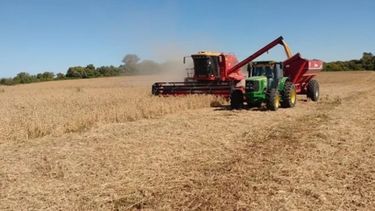 La Niña seguirá por lo menos hasta marzo y pone en riesgo proyección de cosechas récords