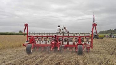 Registran un avance del 11% en la siembra proyectada de soja a nivel nacional