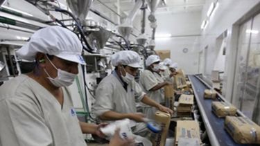 Ledesma perdió 10 veces más dinero que hace un año