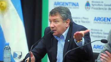 El Gobierno estudia "liberar" el mercado de granos
