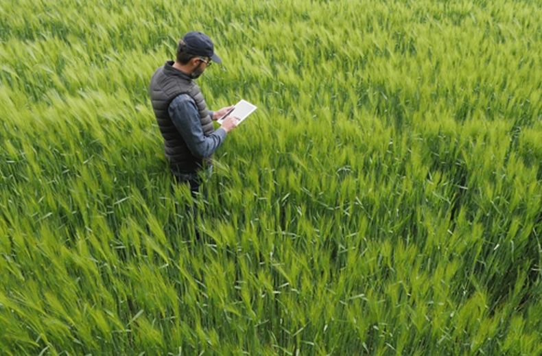 La tecnología que mejora los rendimientos de un campo.