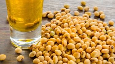 Sube a 10% el nivel de retenciones al aceite de soja fraccionado