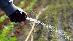 Extienden por un año la emergencia productiva en cinco provincias