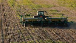 Reportan un nuevo récord para la siembra de granos finos