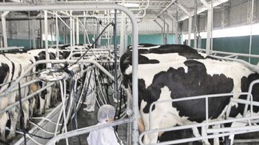 Tamberos dicen estar "peor" con el nuevo Gobierno