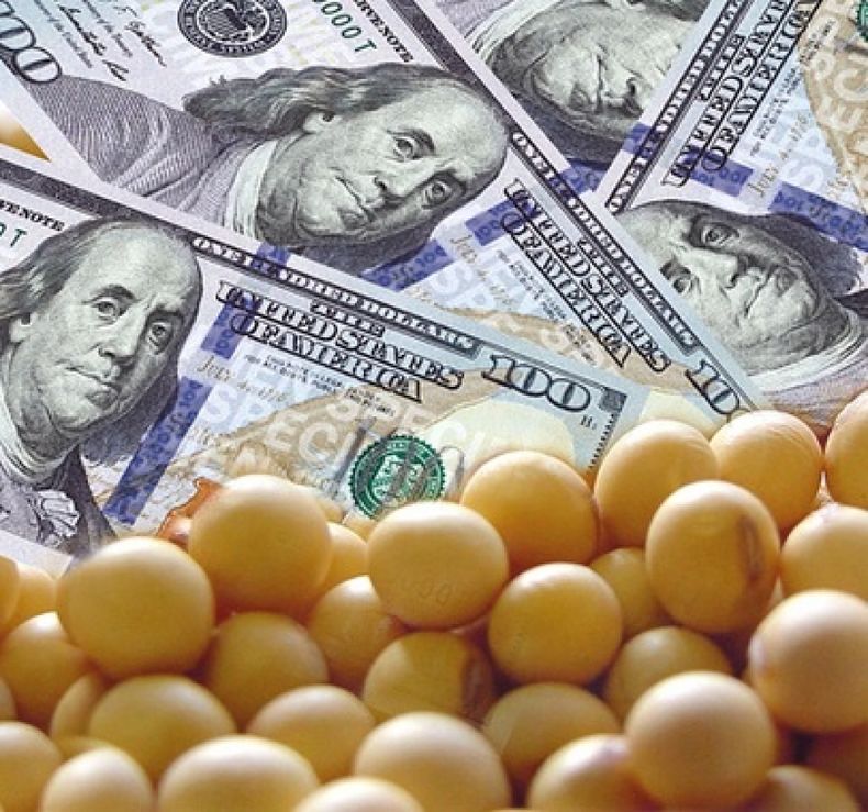 Para el Gobierno, se viene un marzo clave en cuanto al dólar y la soja