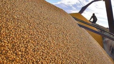 La molienda de soja alcanzó un récord en el primer semestre de 2015