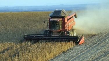 La BCR criticó los nuevos aumentos para el campo