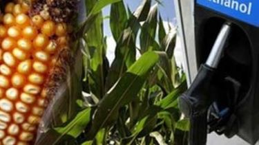 Brasil se vuelve proteccionista ante el avance del biodiesel de EE.UU.